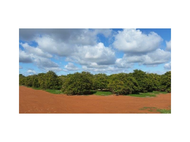 Farm 1751A Slopes Road, Tharbogang NSW 2680