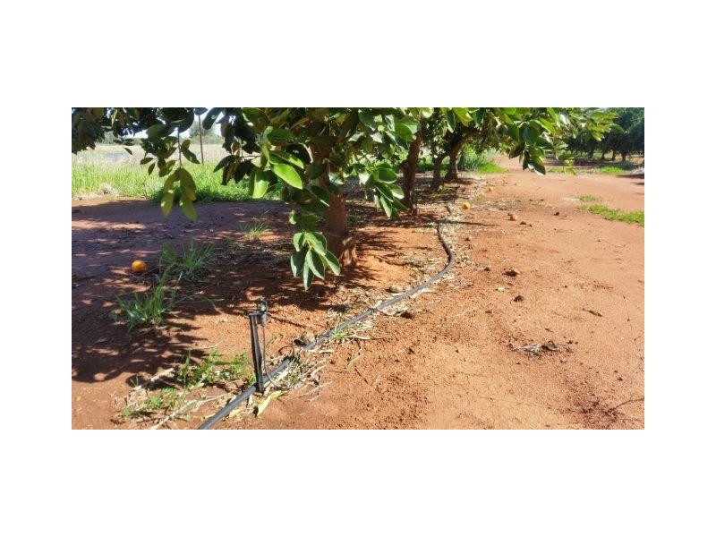 Farm 1751A Slopes Road, Tharbogang NSW 2680