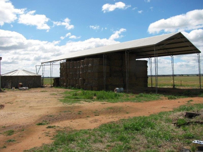 . “Mumbledool East” Willows Road, Moombooldool NSW 2665