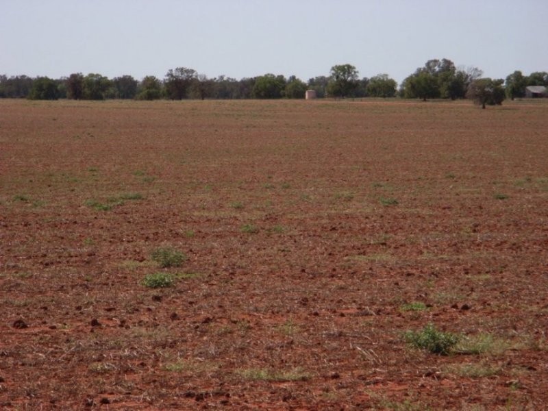 . Avondale, Tabbita NSW 2652