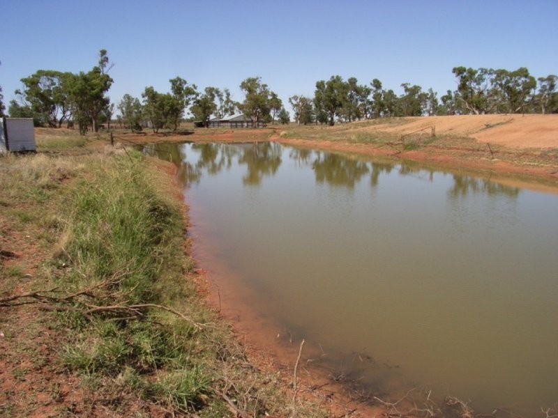 . Avondale, Tabbita NSW 2652