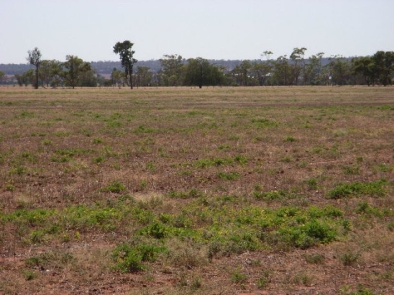 . Avondale, Tabbita NSW 2652