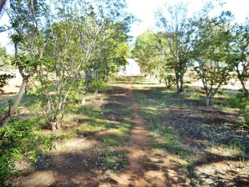 “Warrawong” Farm 1903 Contour Road, Murrami NSW 2705