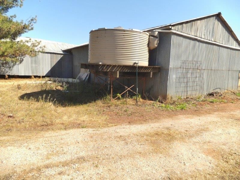 “Warrawong” Farm 1903 Contour Road, Murrami NSW 2705