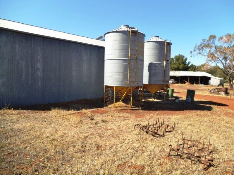 “Warrawong” Farm 1903 Contour Road, Murrami NSW 2705