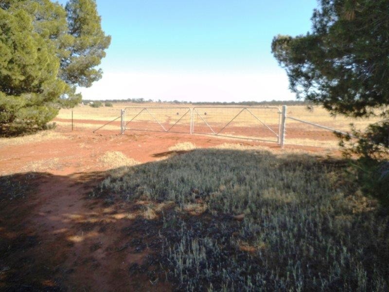 “Warrawong” Farm 1903 Contour Road, Murrami NSW 2705