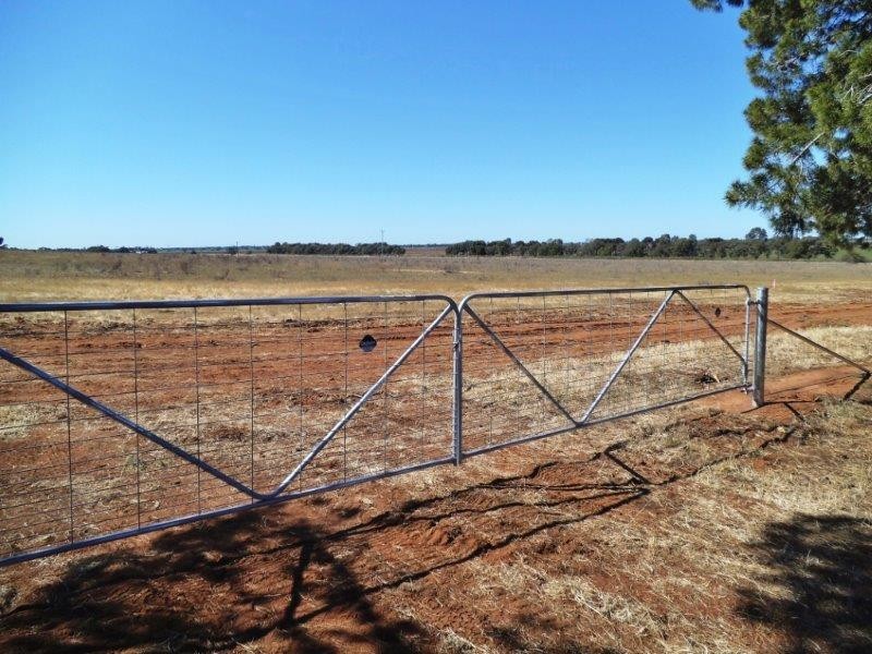 “Warrawong” Farm 1903 Contour Road, Murrami NSW 2705