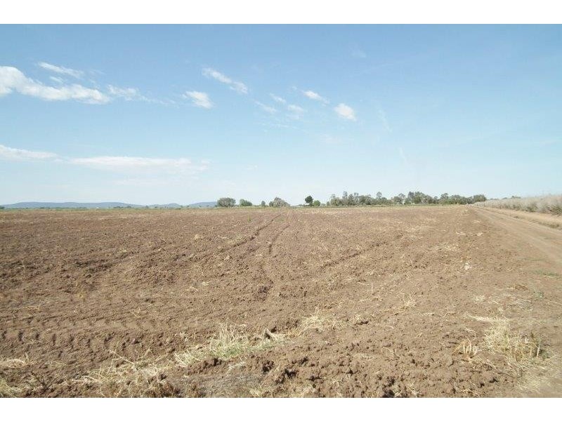 Farm 311A Prior Road, Bilbul NSW 2680