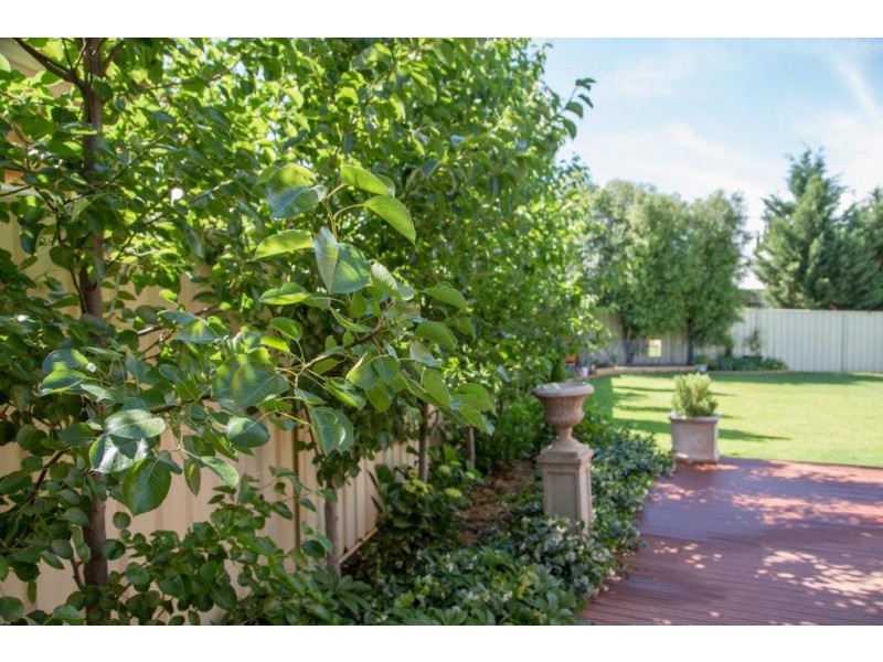 2 Mardon Place, Griffith NSW 2680