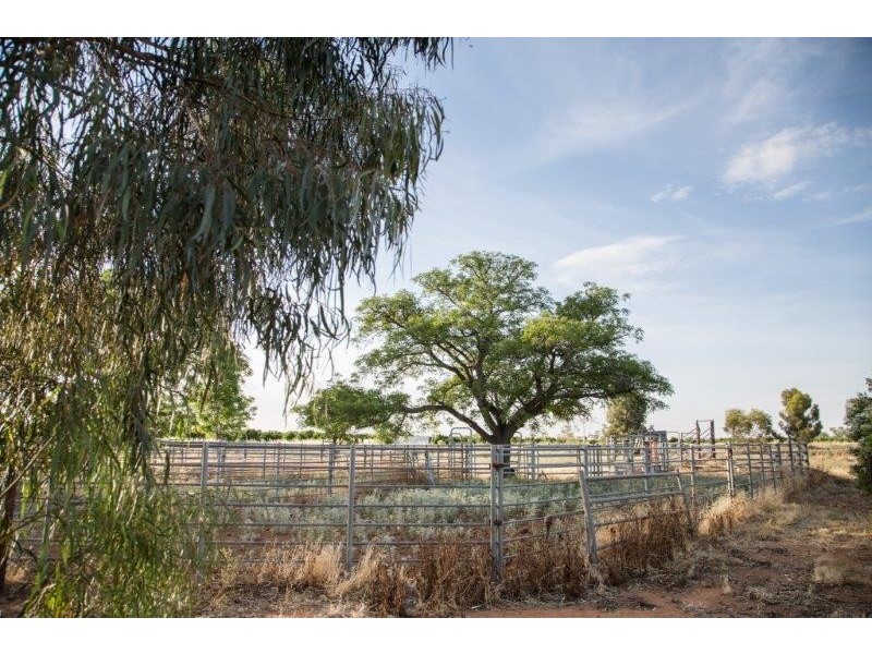 Farm 1977 Jewell Road, Stanbridge NSW 2705