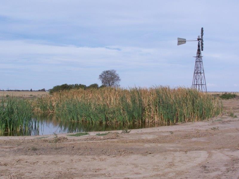 . “Woodland East”, Morundah NSW 2700