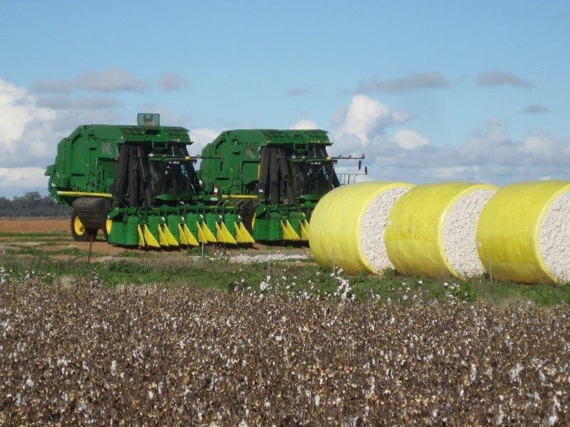 . “Rokeby”, Hay NSW 2711