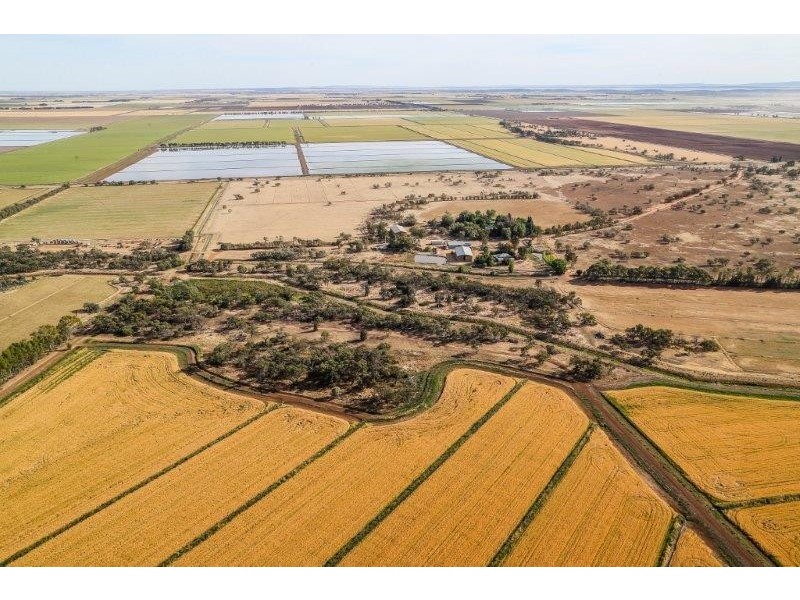 . “Boree Plain”, Benerembah NSW 2680