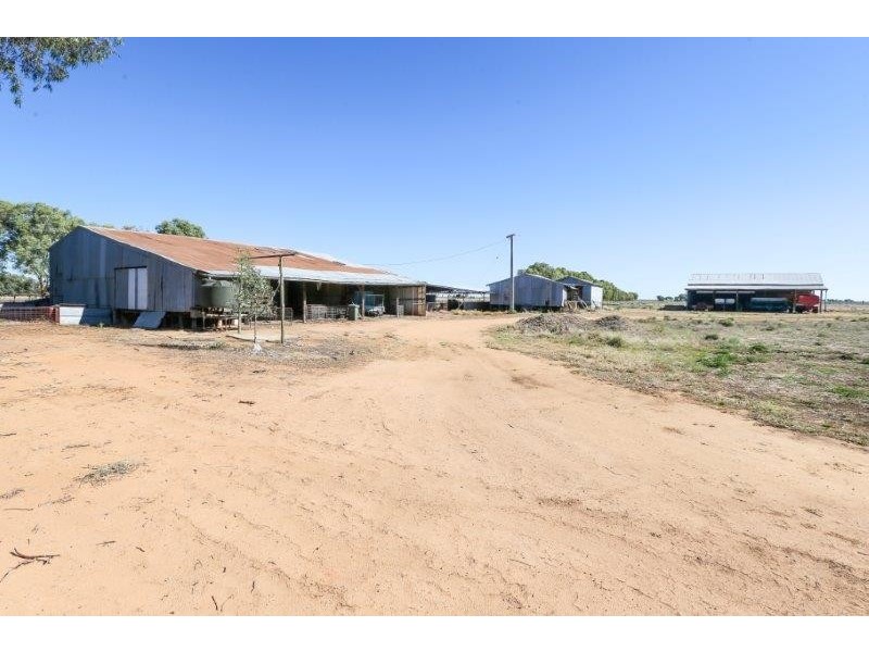 . “Boree Plain”, Benerembah NSW 2680