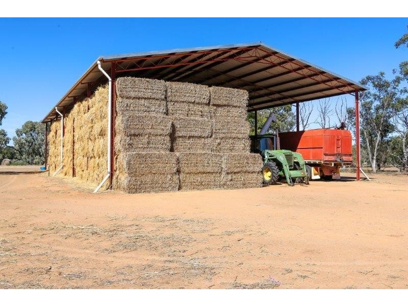 . “Boree Plain”, Benerembah NSW 2680