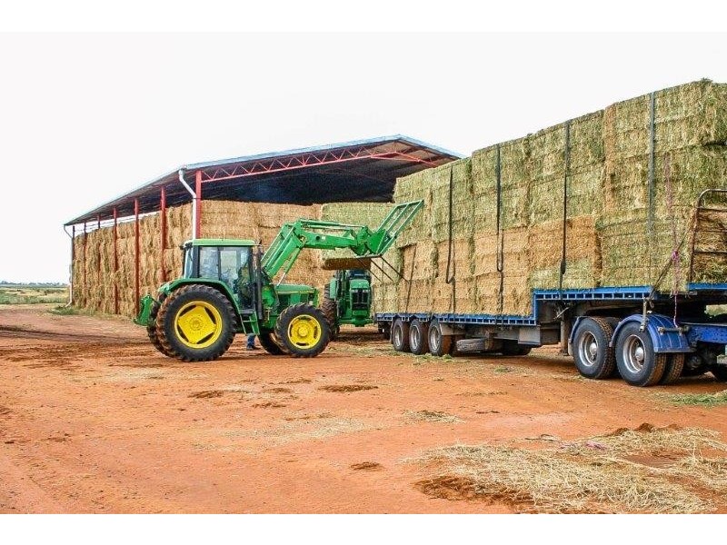 . “Boree Plain”, Benerembah NSW 2680