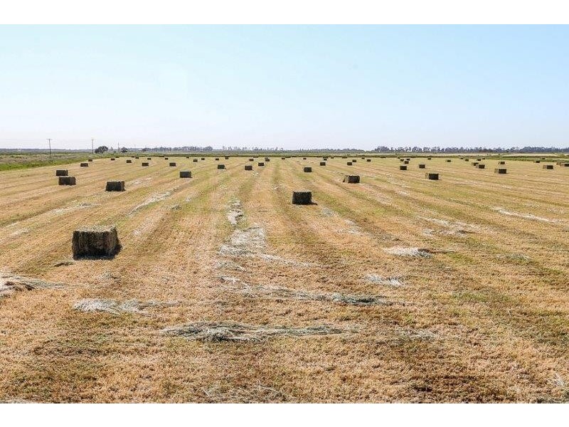 . “Boree Plain”, Benerembah NSW 2680