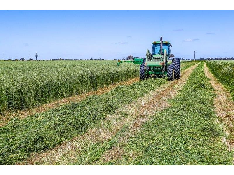 . “Boree Plain”, Benerembah NSW 2680