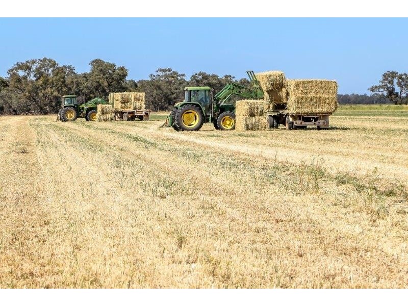 . “Boree Plain”, Benerembah NSW 2680