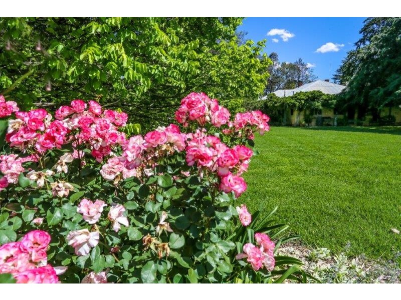 . “Boree Plain”, Benerembah NSW 2680