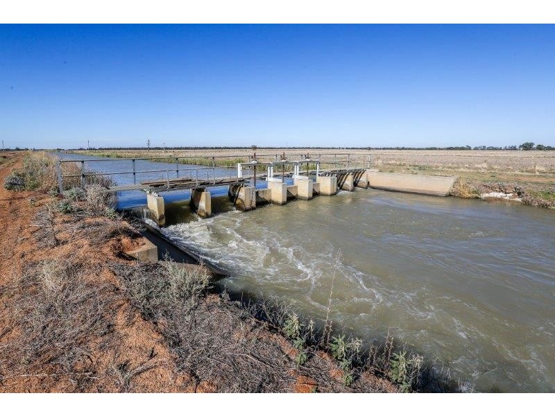 . “Boree Plain”, Benerembah NSW 2680