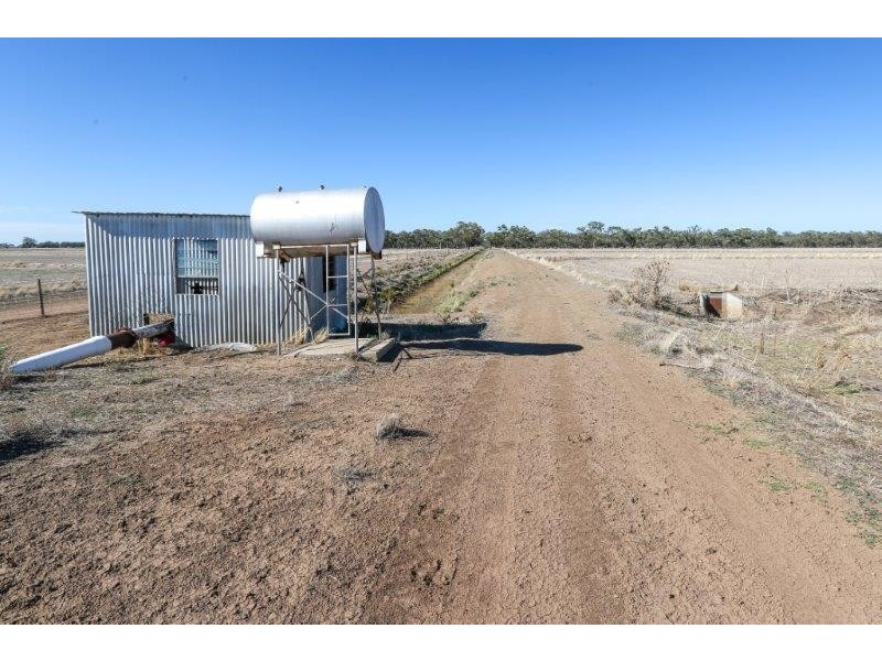 . “Boree Plain”, Benerembah NSW 2680