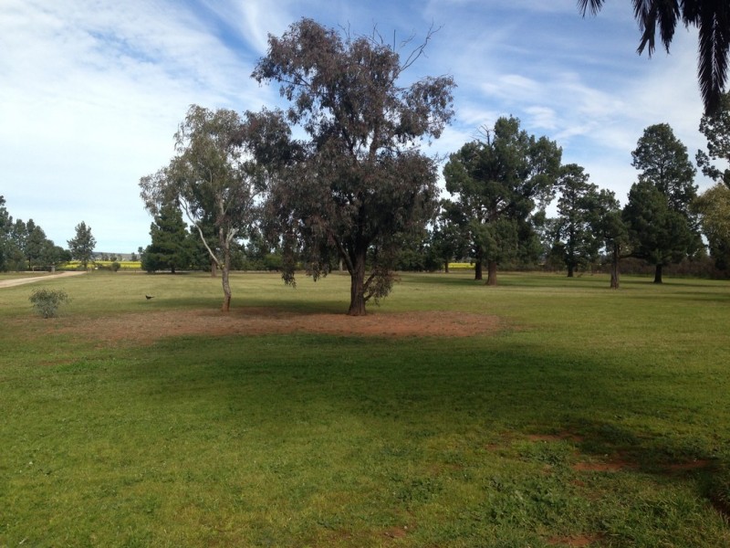 Brobenah NSW 2705