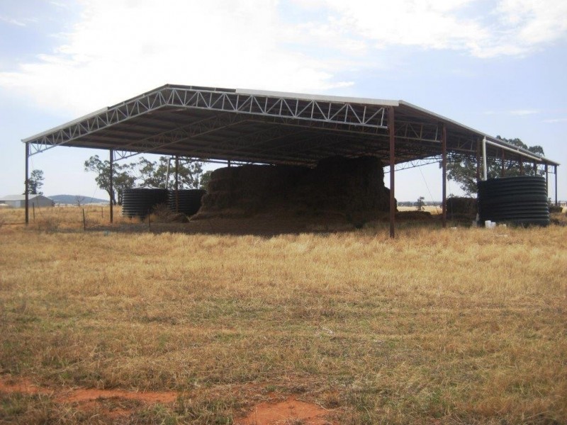 . Gandy Road, Binya NSW 2665