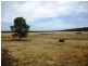 . Gandy Road, Binya NSW 2665
