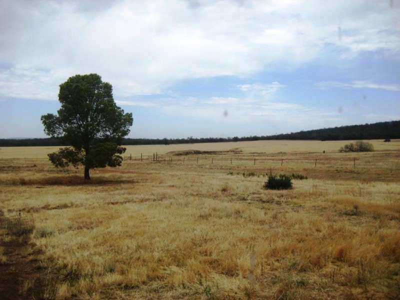 . Gandy Road, Binya NSW 2665