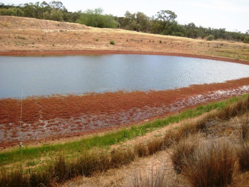 . Gandy Road, Binya NSW 2665
