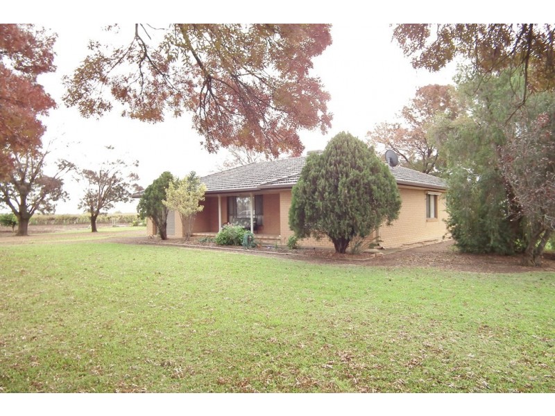 Farm 1488 Cemetery Road, Yenda NSW 2681
