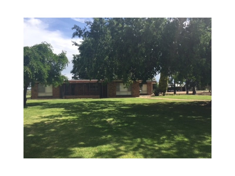 Farm 73 Jimmy Cull Road, Coleambally NSW 2707