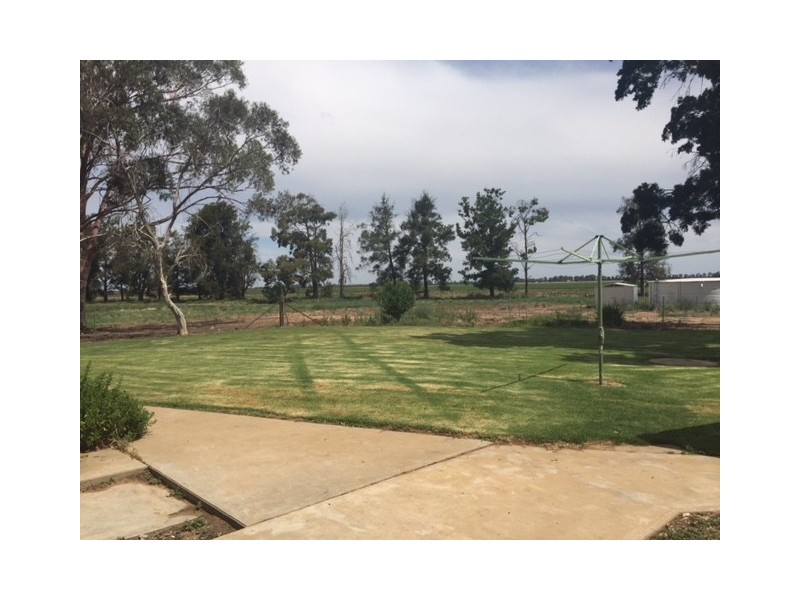 Farm 73 Jimmy Cull Road, Coleambally NSW 2707