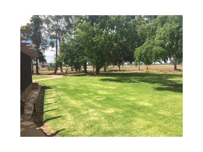 Farm 73 Jimmy Cull Road, Coleambally NSW 2707