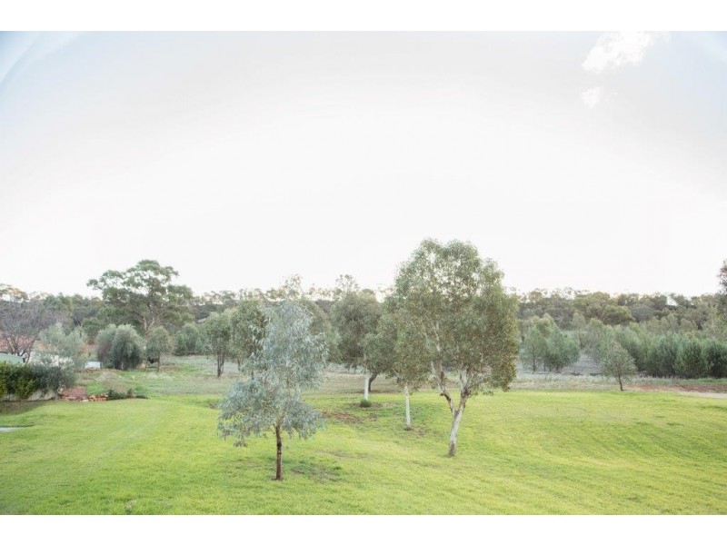 34 Nicholls Street, Griffith NSW 2680