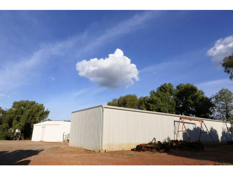 159 Farm, Hanwood NSW 2680