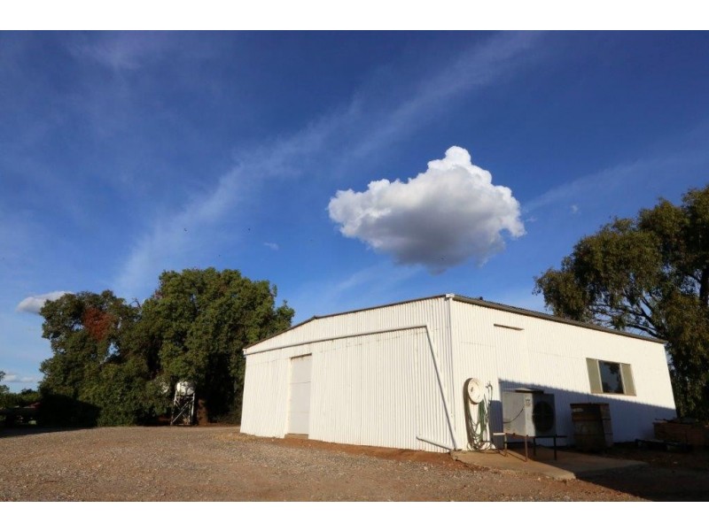 159 Farm, Hanwood NSW 2680