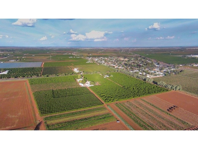 159 Farm, Hanwood NSW 2680