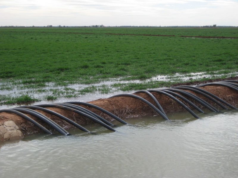 . “Curlew Park South”, Goolgowi NSW 2652