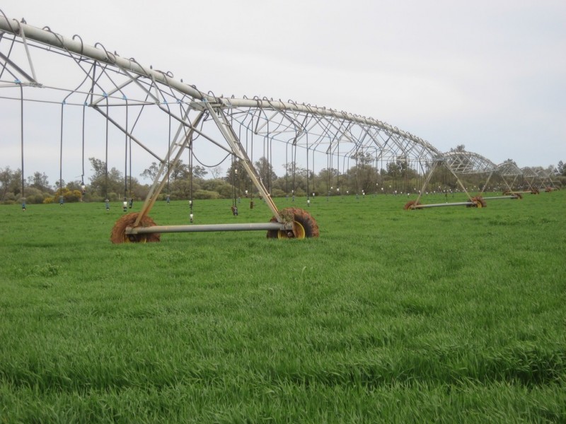 . “Curlew Park South”, Goolgowi NSW 2652