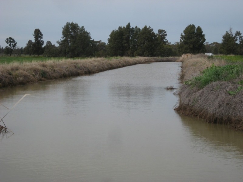 . “Curlew Park South”, Goolgowi NSW 2652