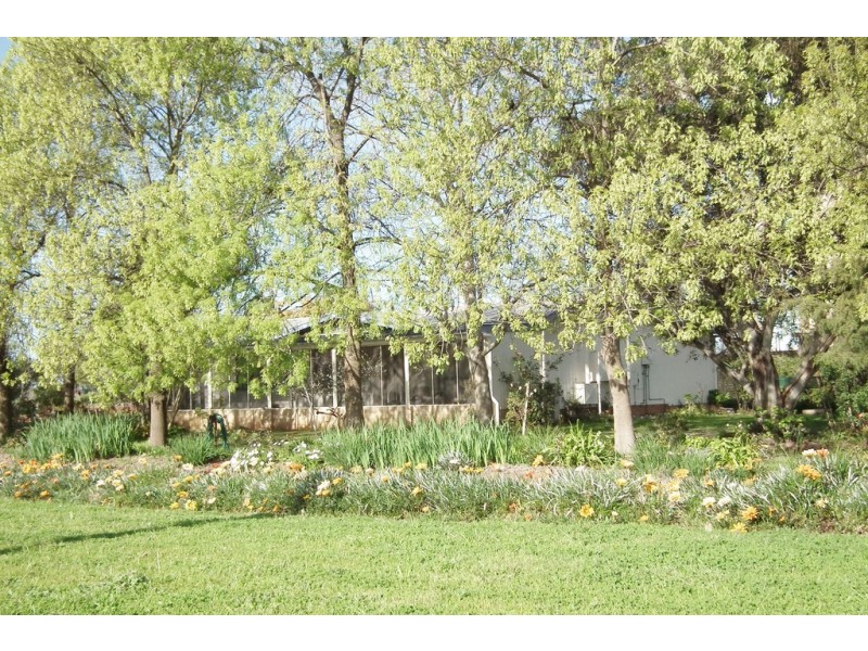 513 Mirrool Avenue, Yenda NSW 2681