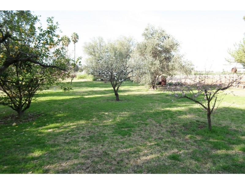 513 Mirrool Avenue, Yenda NSW 2681