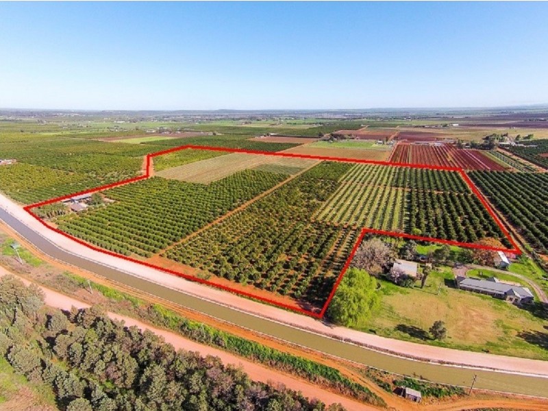 Farms 1855 and1856 Scott Road, Griffith NSW 2680