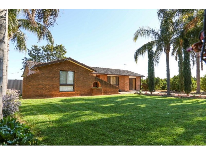 Farms 1855 and1856 Scott Road, Griffith NSW 2680