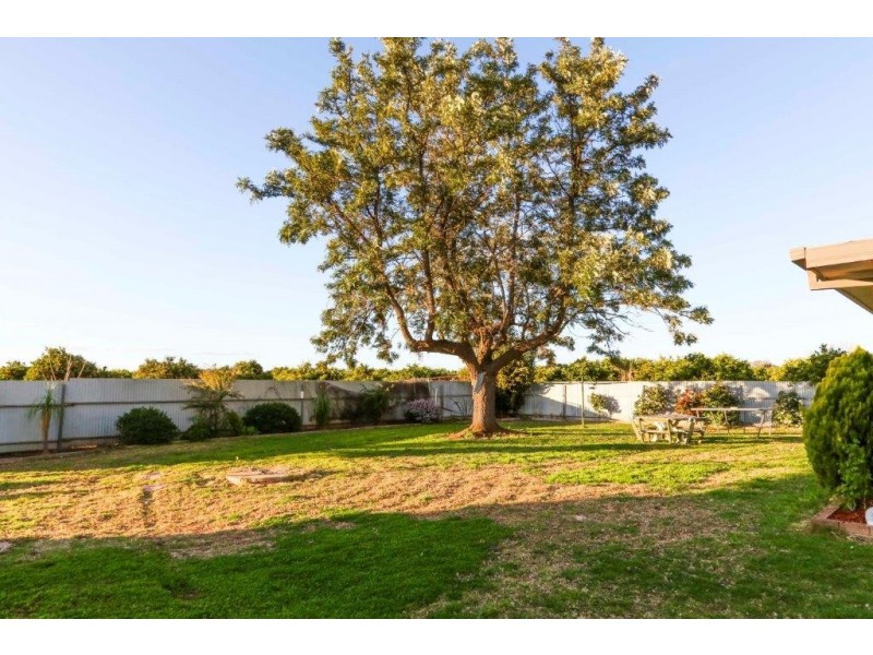 Farms 1855 and1856 Scott Road, Griffith NSW 2680