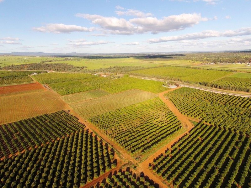 Farms 1855 and1856 Scott Road, Griffith NSW 2680