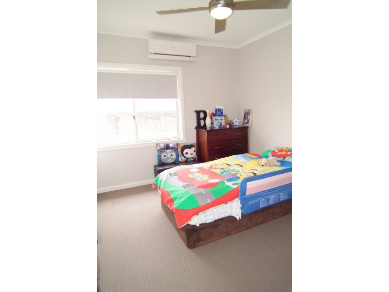 Farm 594 Rossetto Road, Bilbul NSW 2680