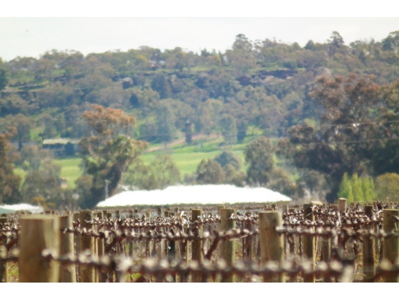 Farm 594 Rossetto Road, Bilbul NSW 2680